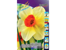 24,11���. ������� ���� �����(��� 10 ��. ���������� ������ 5��.).jpg