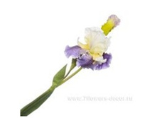 3661864002394 ������ ������������� ����, 110c� 72 742,9.jpg