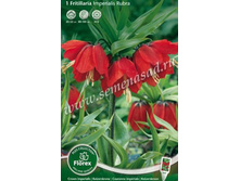 ������ ������������� �����.jpg