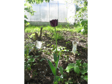 �����. ������ �����. �� ���������!