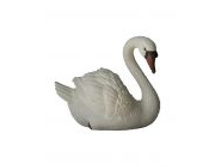 ������ �������