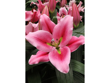 44,2���. ����� ��������(�������� ���� �� 5 ��., ����������� ����� 1��.)���16.jpg