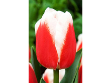 20,37���. ������� ����� ������(��� 10 ��. ���������� ������ 5��.).jpg