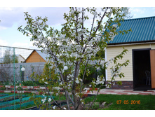 ������� ������