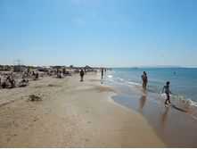 ��������� ����, ��������, ������-��������, 2015 ���