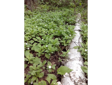 IMG 20160522 141350.jpg