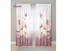 03793. ��������� "������ �����"