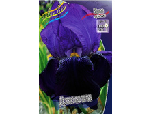 91,55���. ���� ���������� �������(�������� ���� �� 2 ��., ����������� ����� 1��.).jpg