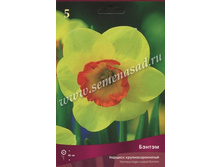 ������� ������.jpg