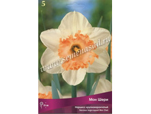 ������� ��� ����.jpg