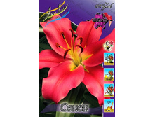 35,2���. ����� �����(��� 5 ��. ���������� ������ 2 ��� 3 ��.).jpg