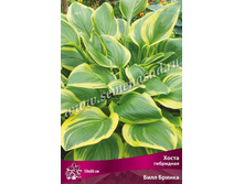 ����� ��������� ���� ������.jpg