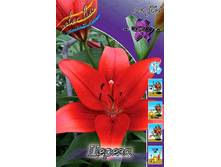 21,8���. ����� ������(��� 7 ��. ���������� ������ 3 ��� 4 ��.).jpg