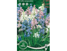 �������� ������������� �����.jpg