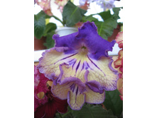 ������������� DS-������ 03.05.2016�