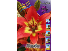 35,2���. ����� �����(��� 5 ��. ���������� ������ 2 ��� 3 ��.).jpg