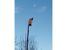 IMG 20160417 183058[1].jpg