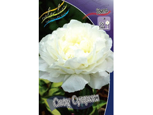 225,3���. ���� ���� ������(�������� ���� �� 1 ��., ����������� ����� 1��.).jpg