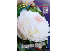 352���. ���� ������� ������(�������� ���� �� 1 ��., ����������� ����� 1��.).jpg