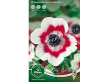 ������� �������.jpg