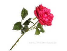 4606500502103 ������ ������������� ���� ����� �����, 61 �� 120 356,5.jpg