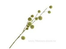 4606500502202 ����� ������������� ������ , 79�� 144 373,75.jpg