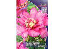 1365,6���. ���� ������� (���)(�������� ���� �� 1 ��., ����������� ����� 1��.).jpg