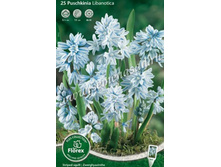 �������� ���������.jpg