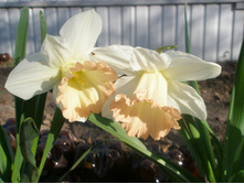 ������� "������ �����" 02.05.2016�.