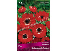 ������� �� �������.jpg