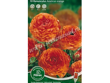 ����� ������.jpg