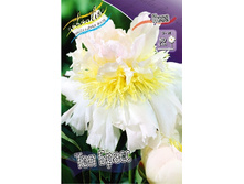 216,9���. ���� ��� �����(�������� ���� �� 1 ��., ����������� ����� 1��.).jpg