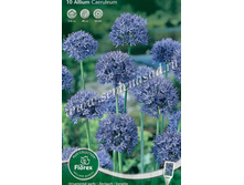 ��� �������.jpg