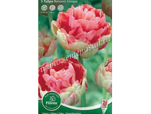 ������� ������ ����.jpg