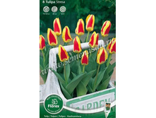 ������� ������.jpg