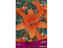 ����� ��������.jpg