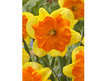 32,29���. ������� ��������(��� 7 ��. ���������� ������ 3 ��� 4 ��.)���16.jpg