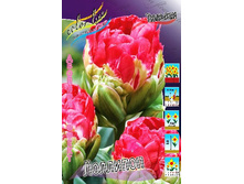 88,5���. ������� ��������(�������� ���� �� 5 ��., ����������� ����� 1��.).jpg