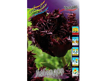 22,8���. ������� ��������(��� 10 ��. ���������� ������ 5��.).jpg