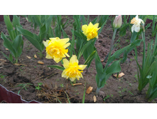 P 20160512 104418 001.jpg