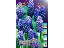 7,63���. ������� ����������(���������� ������ ������ ���������� �� 10 ��.).jpg