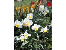 IMG 20160507 121947[1].jpg