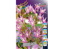 23,18���. ��������� �������(��� 10 ��. ���������� ������ 5��.)���15.jpg