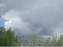 ����� 019.jpg