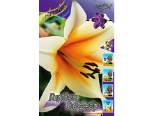 32,5���. ����� ������ ������(��� 5 ��. ���������� ������ 2 ��� 3 ��.).jpg