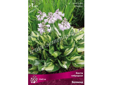 ����� ��������� �������.jpg