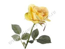 3760169245779 ������ ������������� ���� Brenda, 57�� 144 258,75.jpg