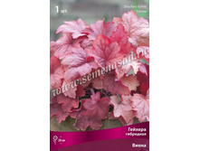 ������� ��������� �����.jpg