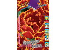 33,48���. ������� �������� �����(��� 10 ��. ���������� ������ 5��.).jpg