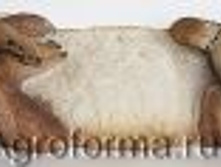 ����� (���������) MG2657---400